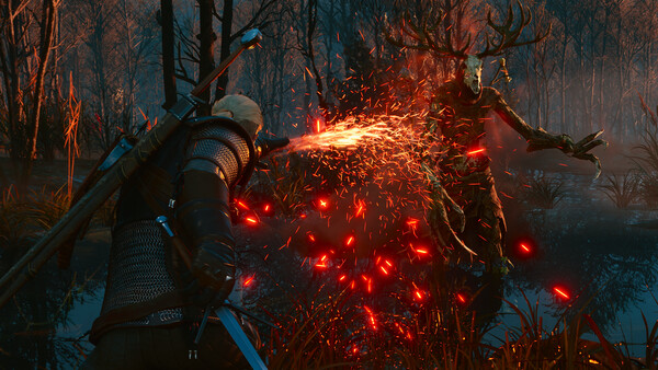 The Witcher 3: Wild Hunt — screenshot 2