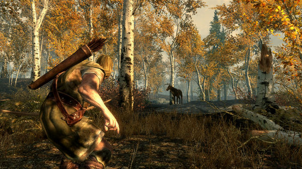 The Elder Scrolls V: Skyrim — screenshot 5