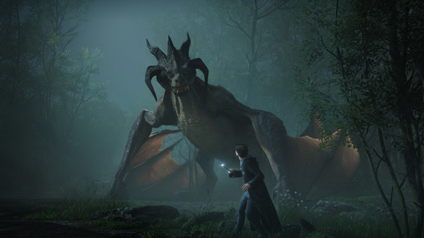 Hogwarts Legacy — screenshot 4