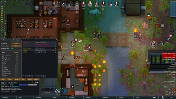 RimWorld — screenshot 1